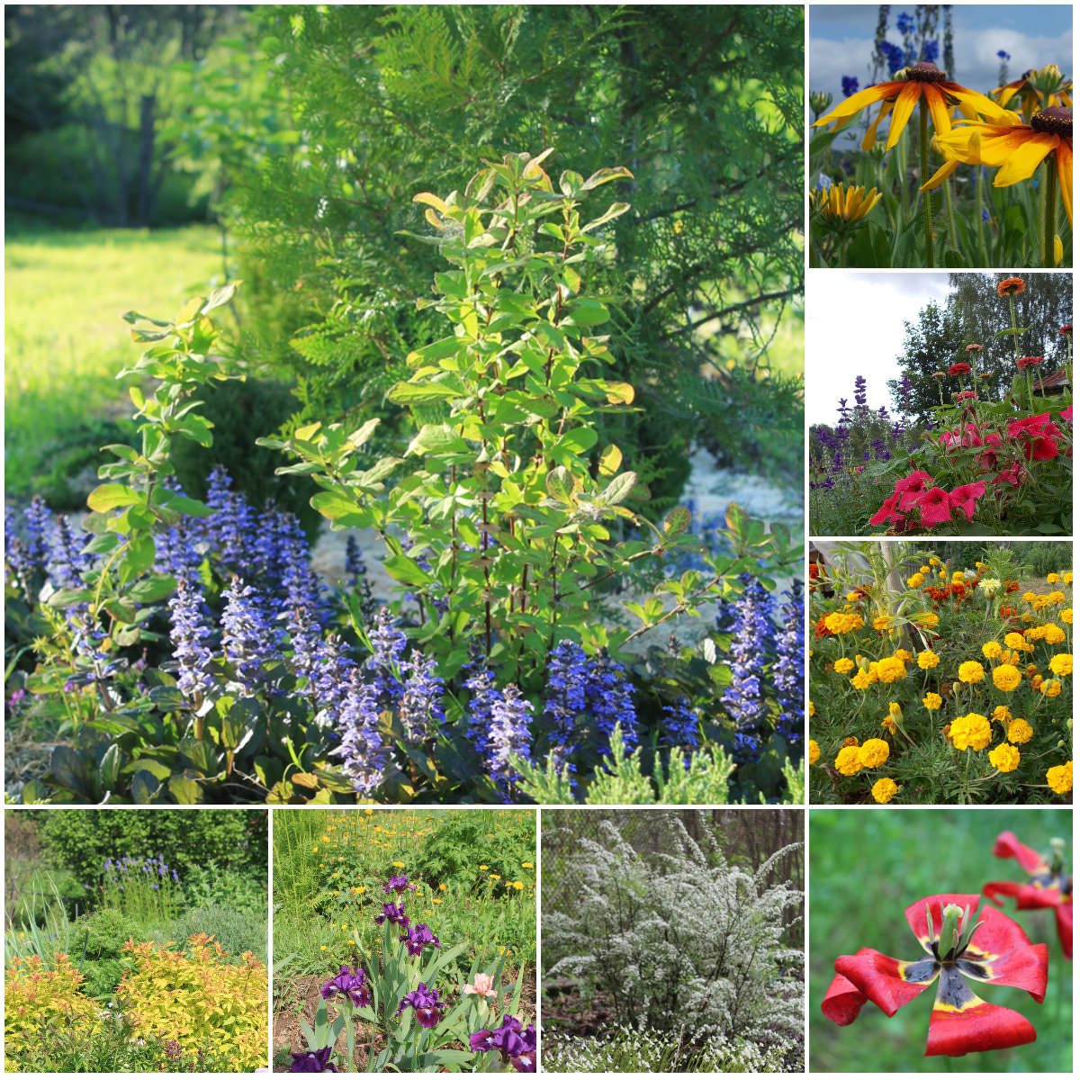 Счастье слышать тишину и стрекот цикад, пение соловья и шум дождя по крыше, вдыхать ароматы цветущих трав и цветов